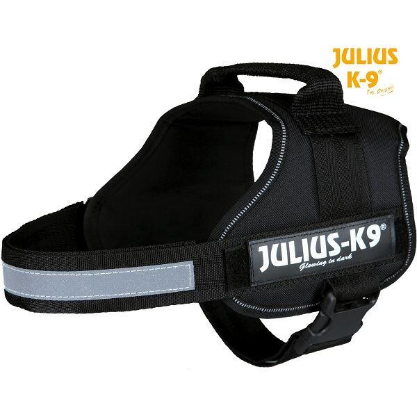 JULIUS-K9 picture