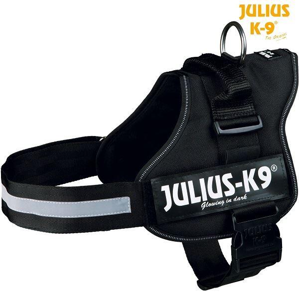 JULIUS-K9 picture