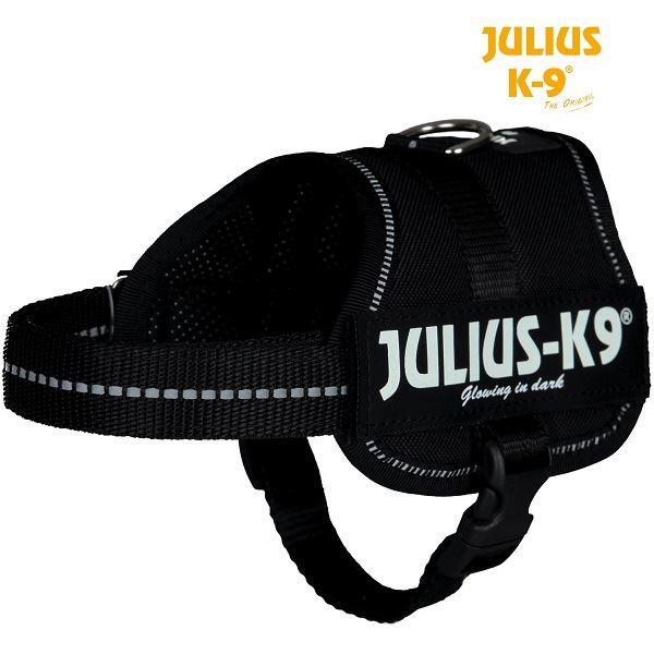JULIUS-K9 picture
