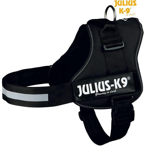 JULIUS-K9 picture