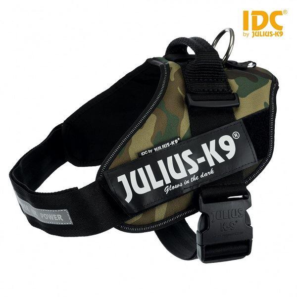 JULIUS-K9 picture