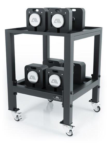 QUAD Hantelablage | Kurzhantelablage | Regal