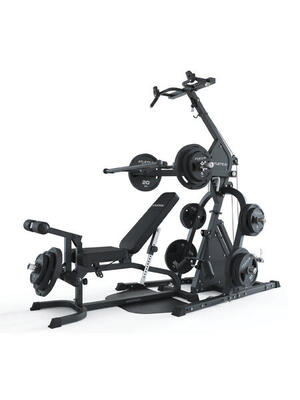 Triton | Multigym Triplex Station | Variant - Combat