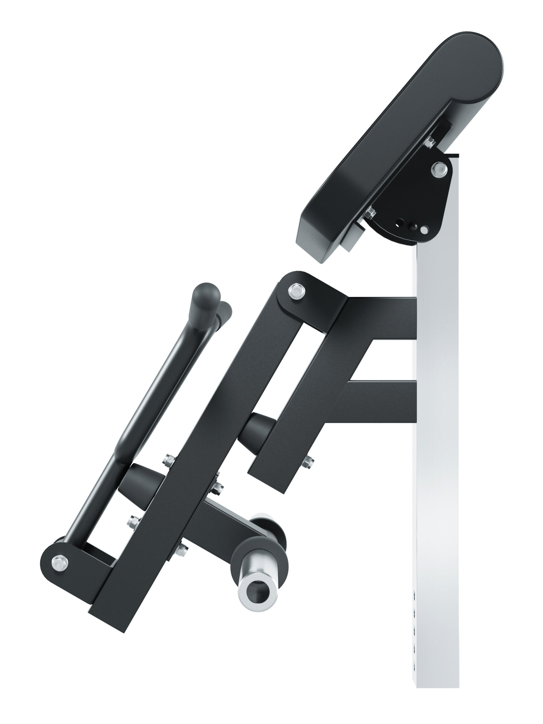 Biceps Curl Option für HyperBench 3/3