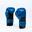 Manusi Box Knockout Starter 12OZ / Albastru/Negru