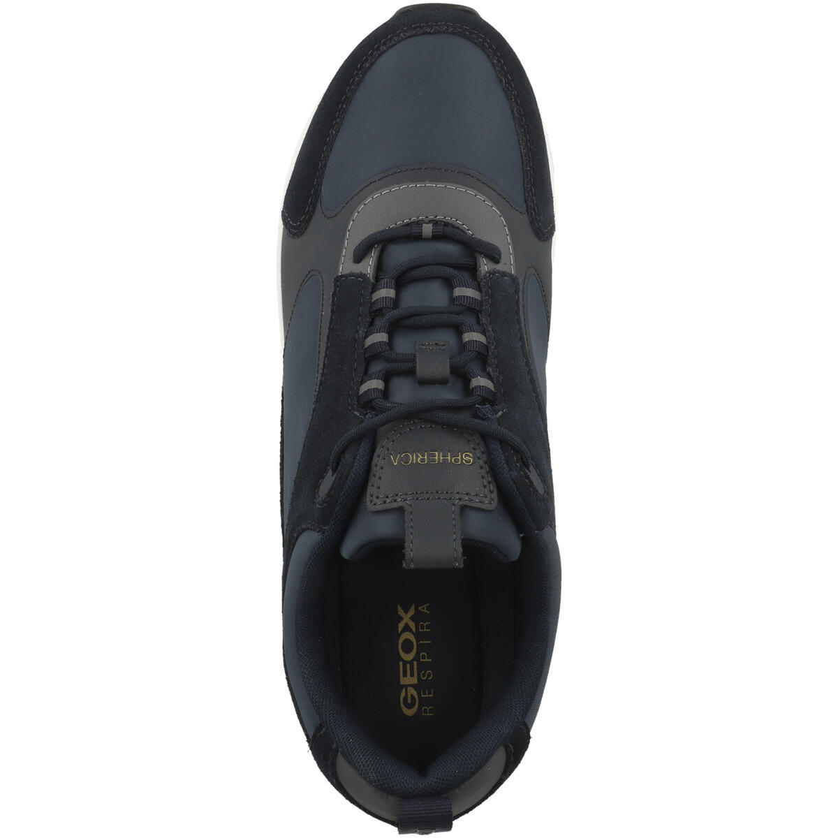 Baskets Geox Spherica Ecub-4 A 2/6