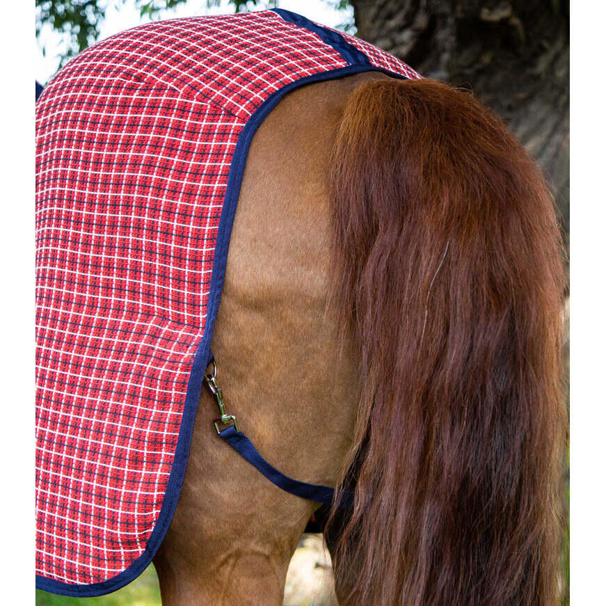 Camisa de cavalo Premier Equine 3D Waffle Cooler 6/7