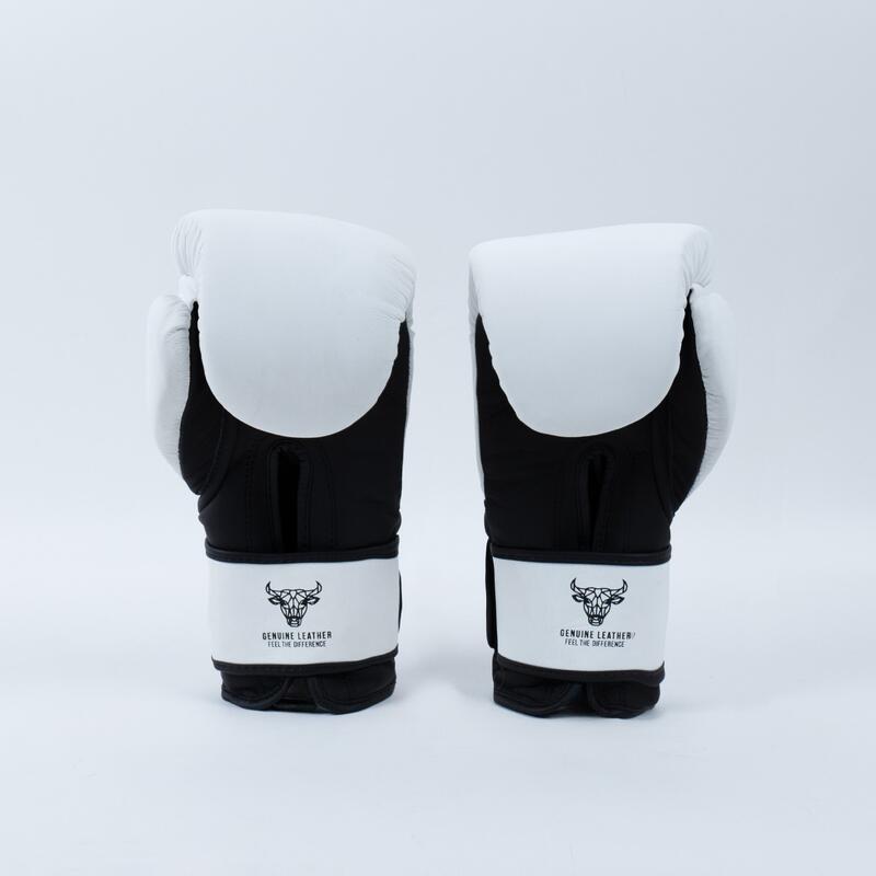 Box Knockout Knocker kesztyű
