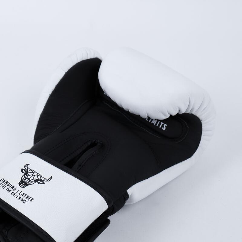 Box Knockout Knocker kesztyű