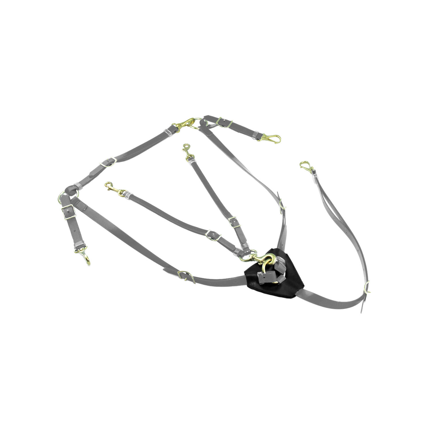 LAKOTA Biothane -borstplaat met martingale