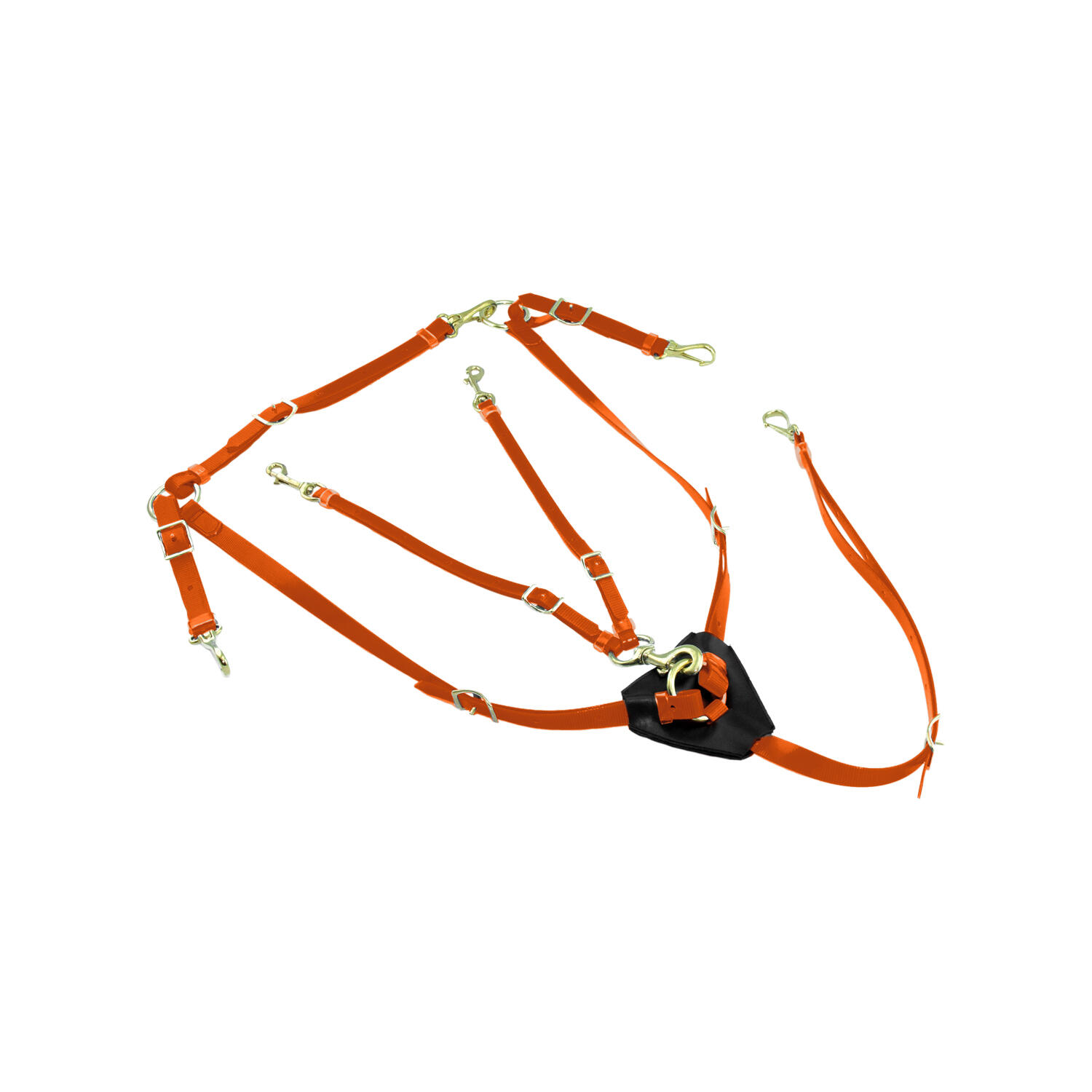 LAKOTA Pettorale con martingala in biothane