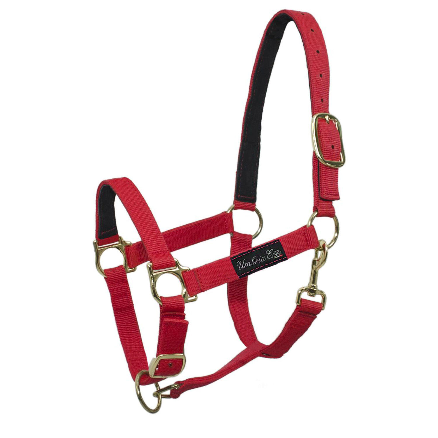 UMBRIA EQUITAZIONE Nylon halter met lederen vulling
