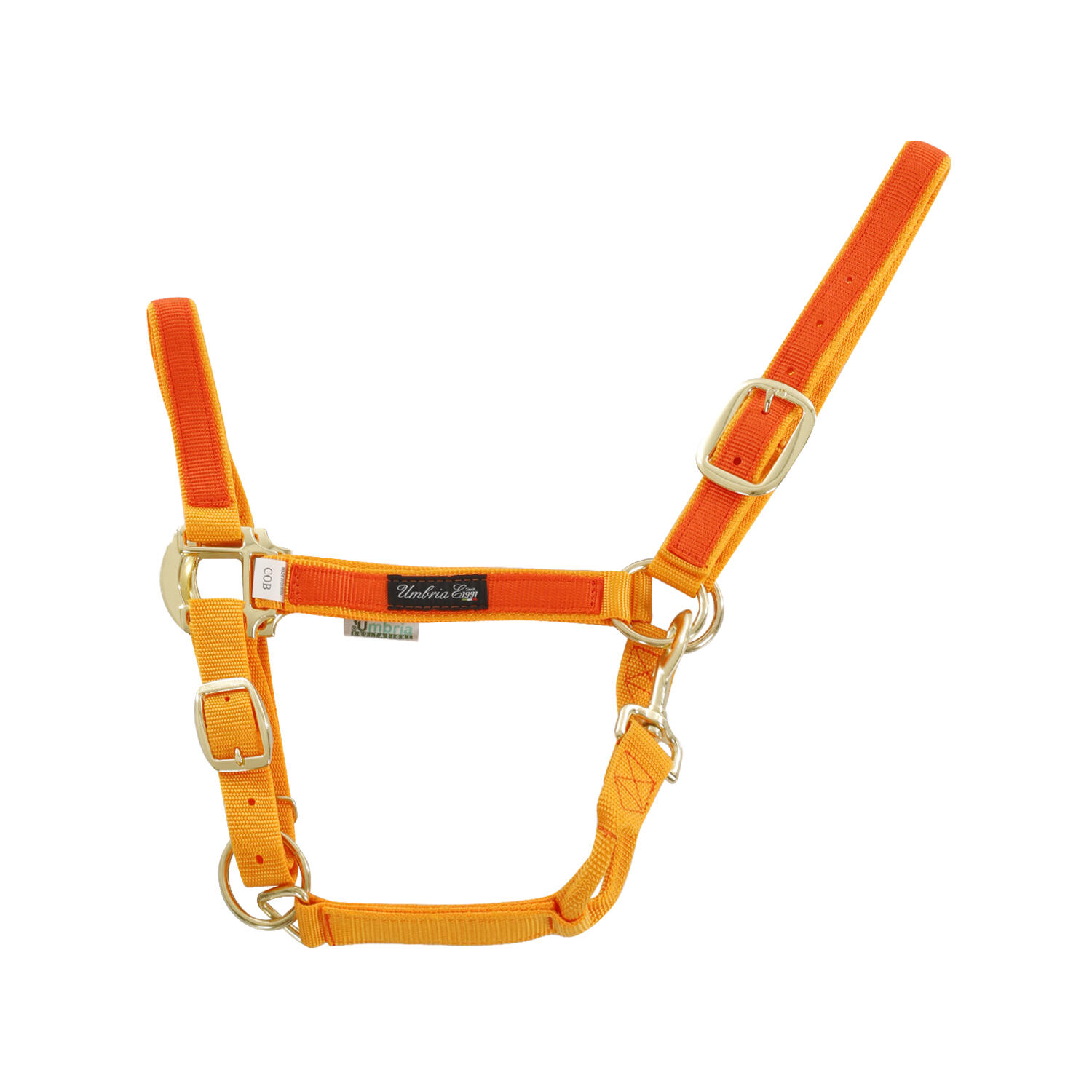 Goud / Oranje