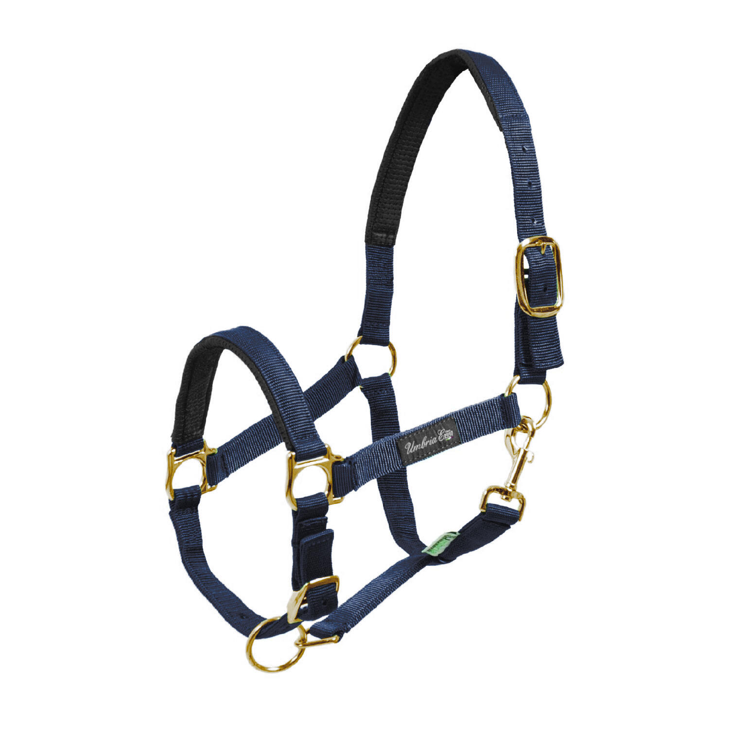 UMBRIA EQUITAZIONE Nylon halter met neopreen vulling