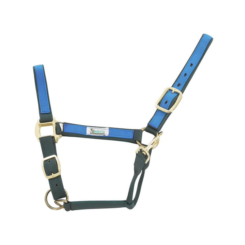 Nylon halter met gekleurde insert