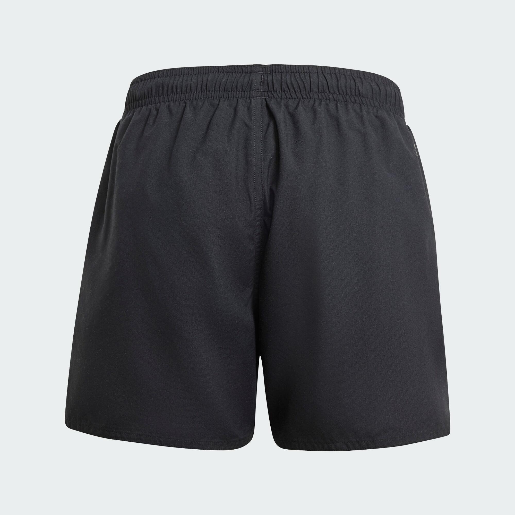 Bañador Sportswear Essentials Logo CLX (Niños) 4/5
