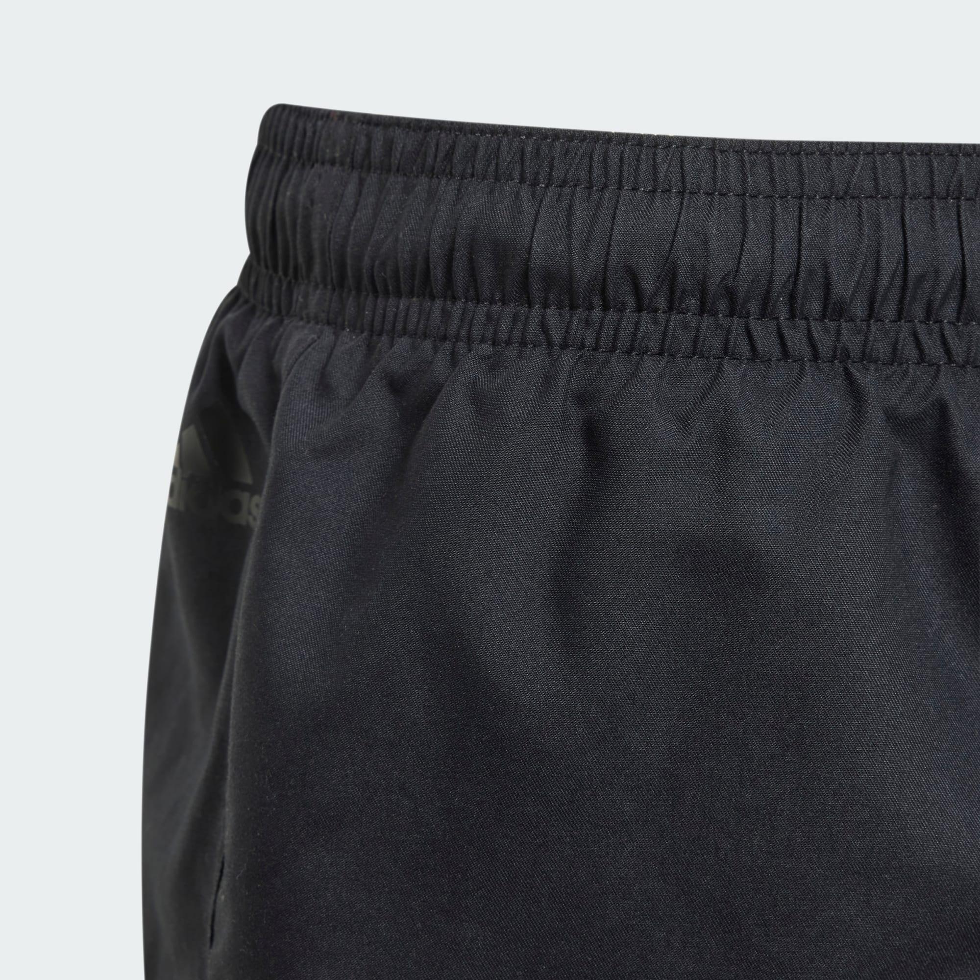 Bañador Sportswear Essentials Logo CLX (Niños) 5/5
