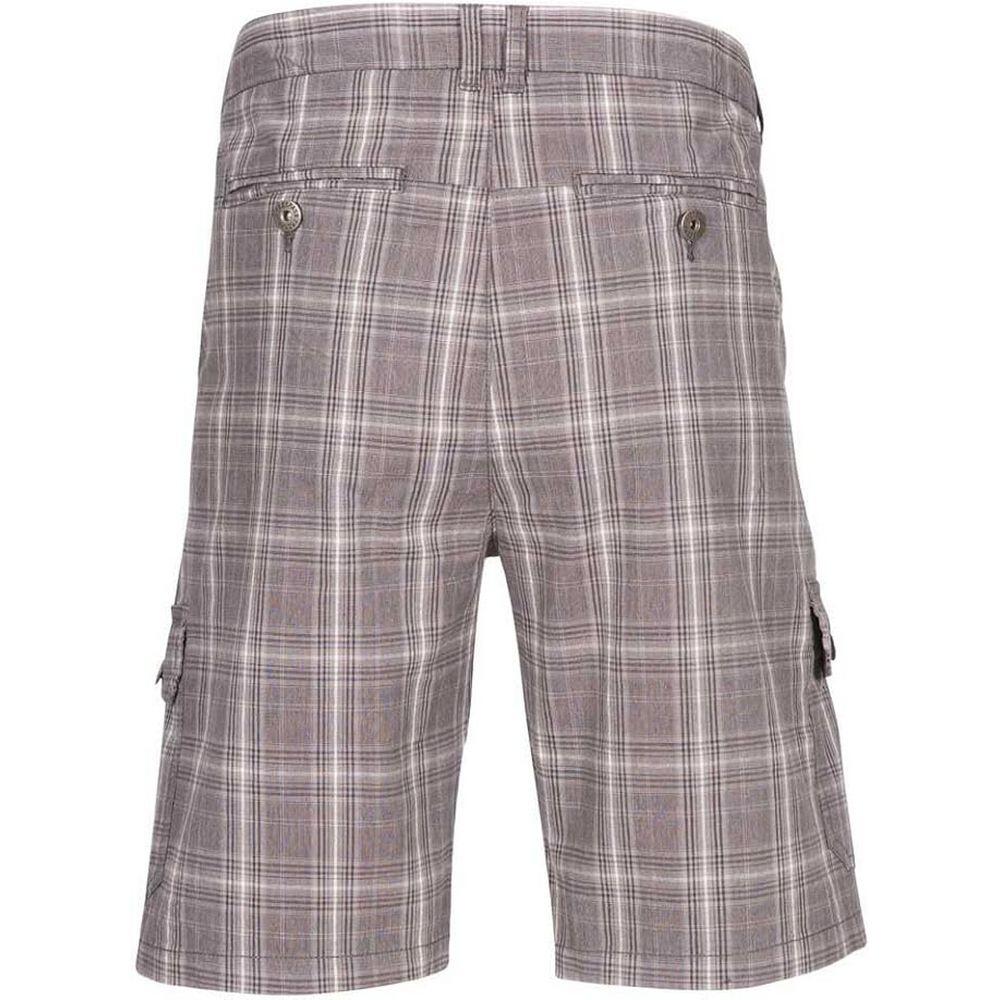CargoShorts Earwig Herren Sturmgrau Karomuster 2/4