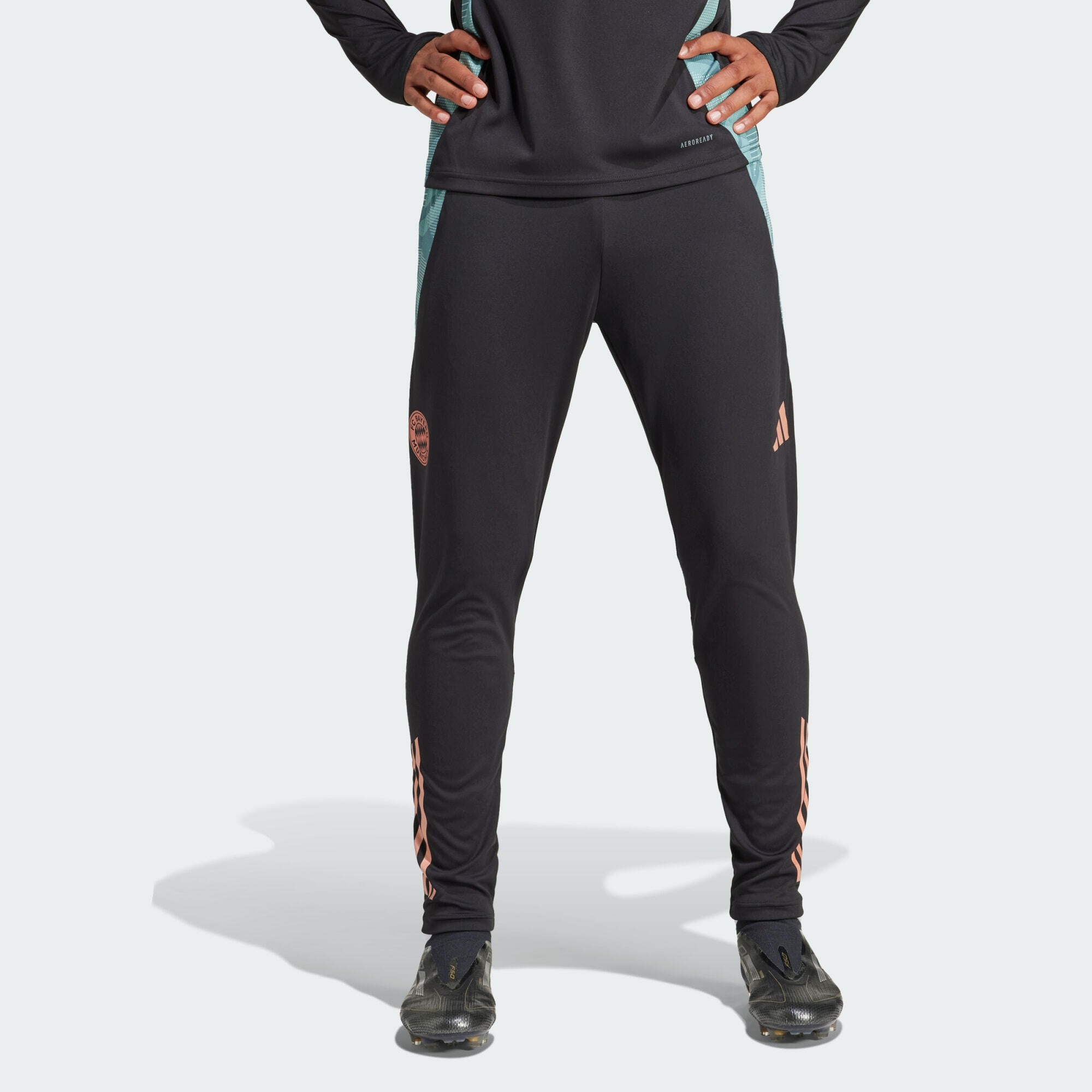 FC Bayern Tiro 24 Training Pants 1/7