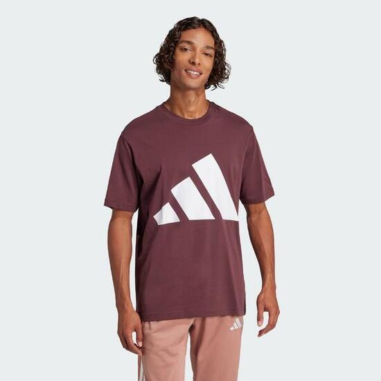 adidas Herren T-Shirt Big Logo SJ Tee