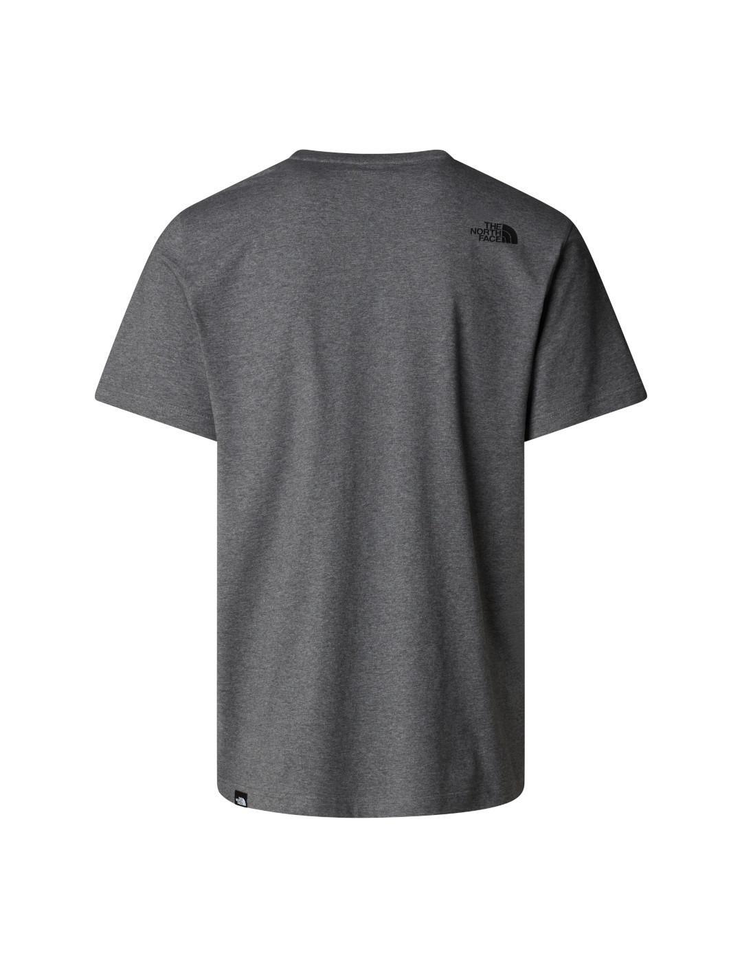 T-shirt pour homme The North Face Easy Gris 2/5