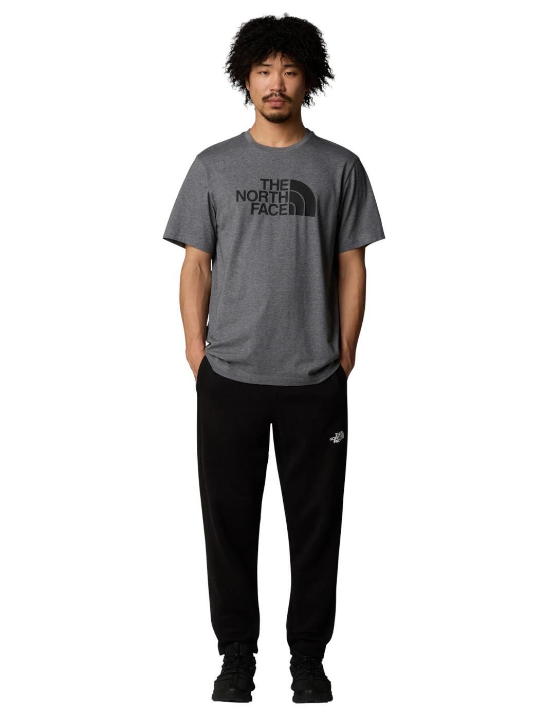 T-shirt pour homme The North Face Easy Gris 5/5