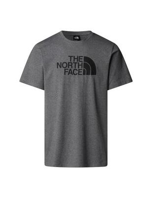 Camiseta para Hombre The north face Easy Gris