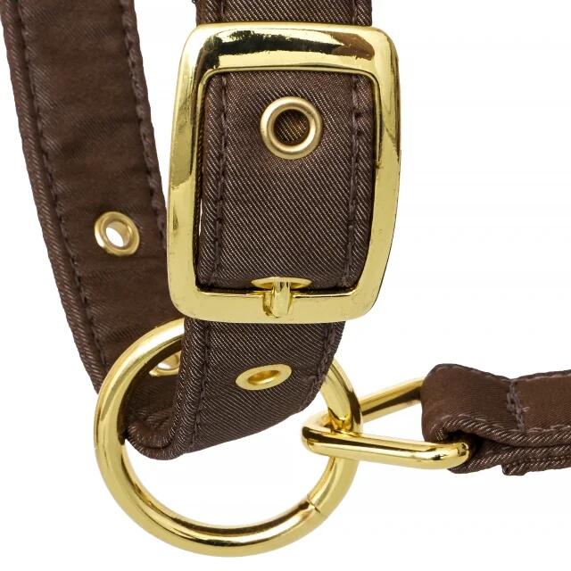 Paardenhalster Equestrian Queen Riga 24AW met bontafwerking 5/6