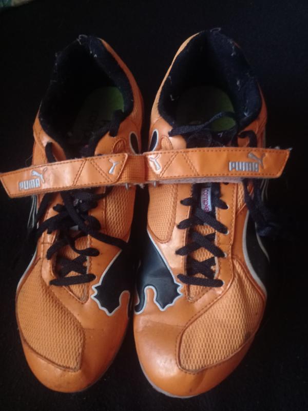 PUMA picture