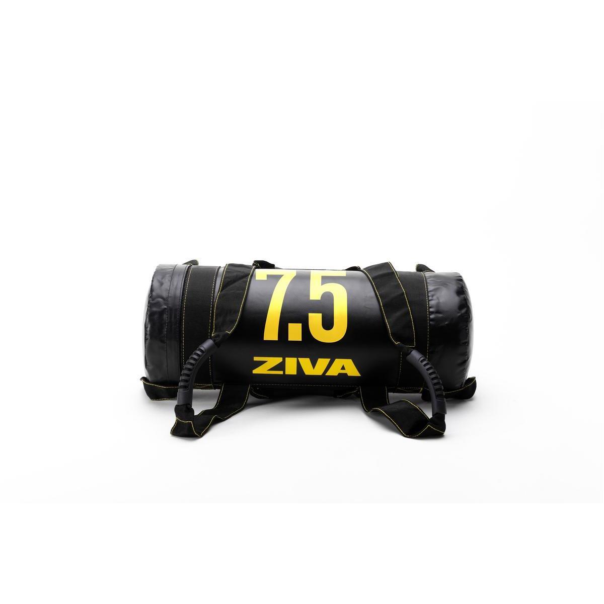 ZIVA picture