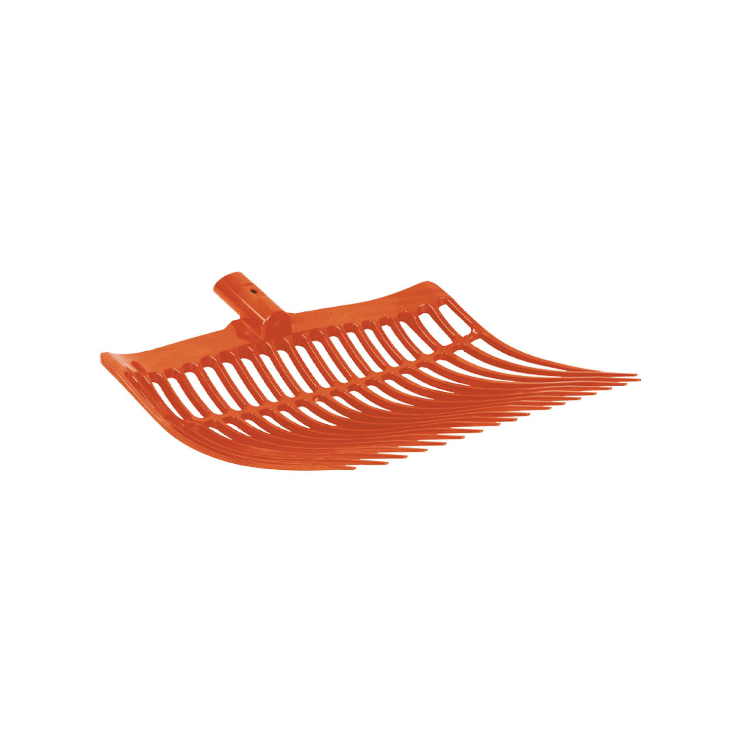 Oranje