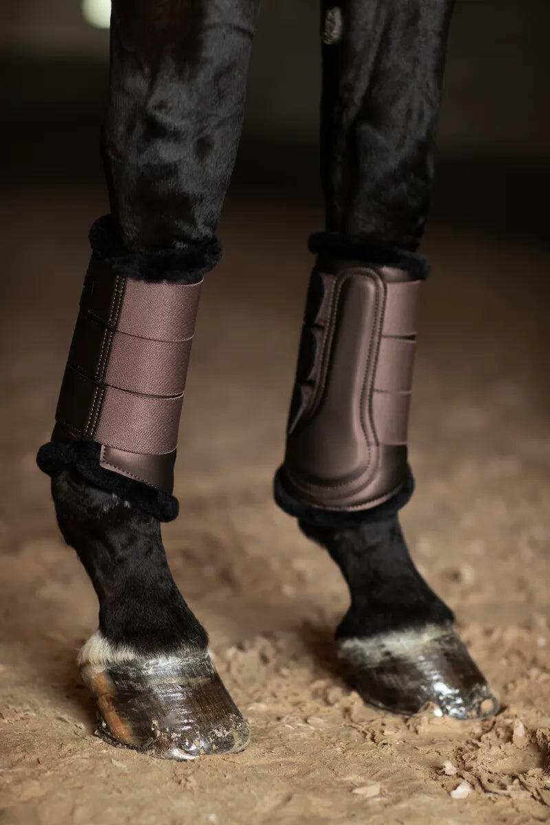 EQUESTRIAN STOCKHOLM picture