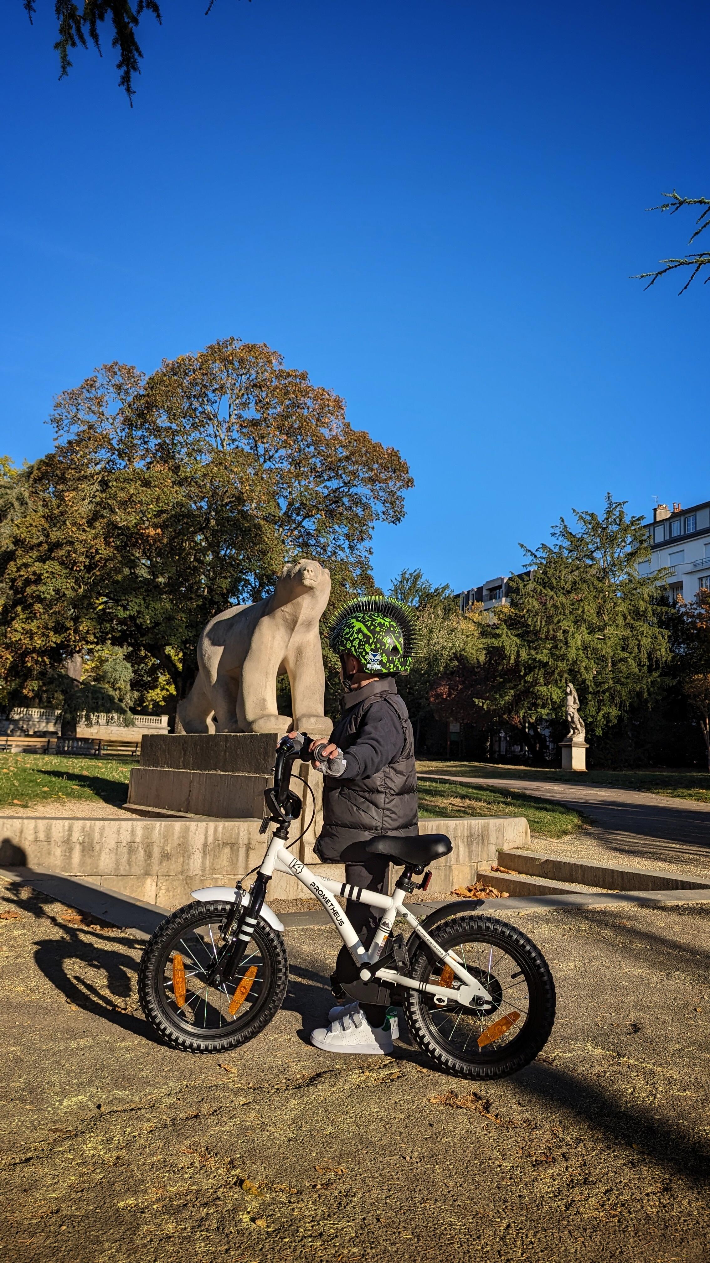 Kinderfiets 14 inch vanaf 3 -5 jaar fiets met terugtraprem en zijwieltjes 2/8