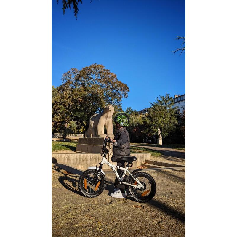 Vélo 14 pouces enfant 3-5 ans avec roues stabilisateurs et rétropédalage