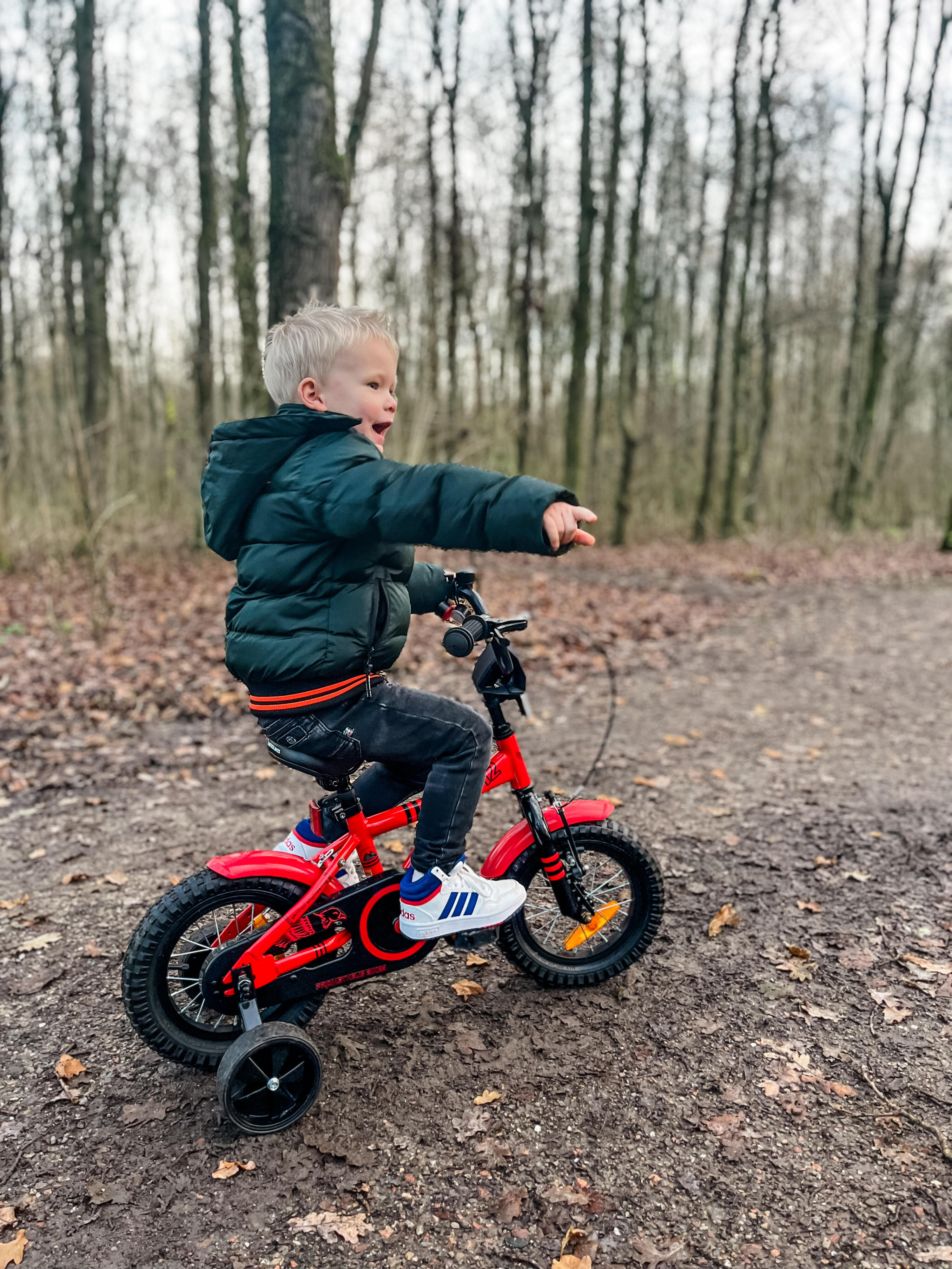Kinderfahrrad 12 Zoll ab 3 Jahre mit Stützräder und Rücktritt 2/9
