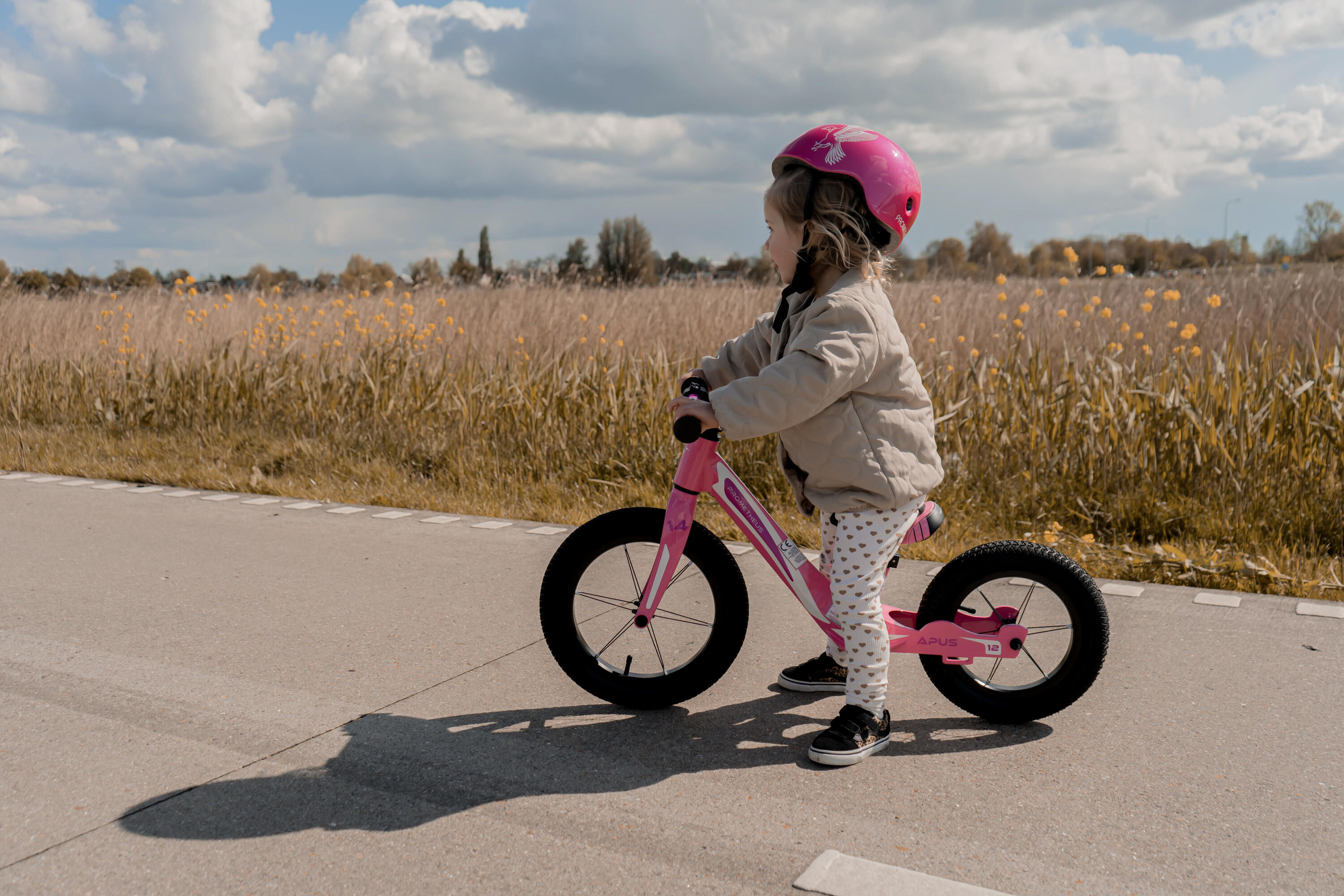 Laufrad ab 2-3 Jahre 14/12 Zoll Räder Kinderlaufrad Magnesiumrahmen Modell APUS 3/8