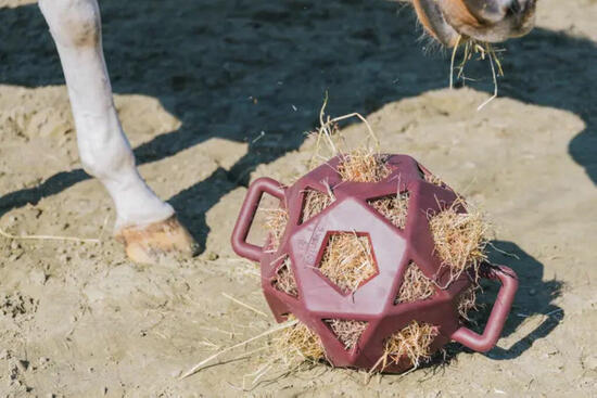 Palla portafieno Kentucky