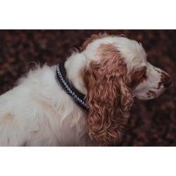 Collier pour chien Equestrian Stockholm - Parisian Blue