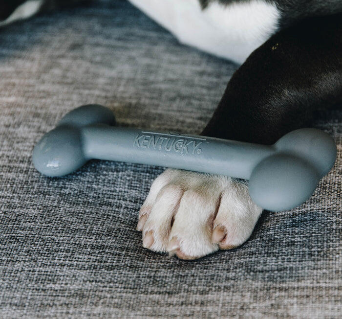 Jouet pour chien silicone Os  - Kentucky 3/5