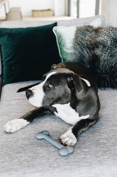 Jouet pour chien silicone Os  - Kentucky 2/5
