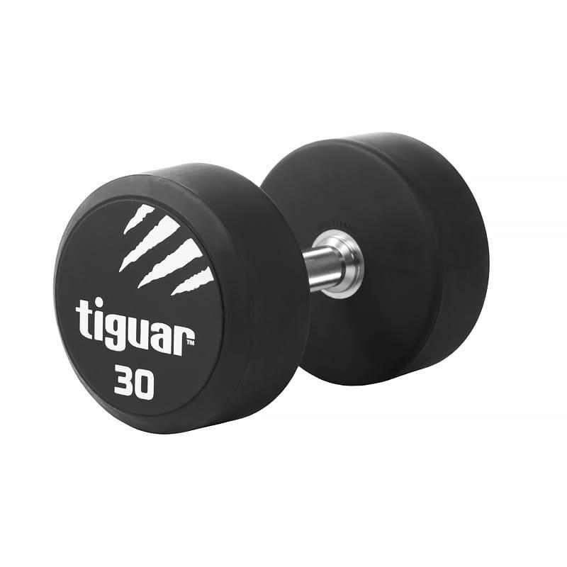 TIGUAR picture
