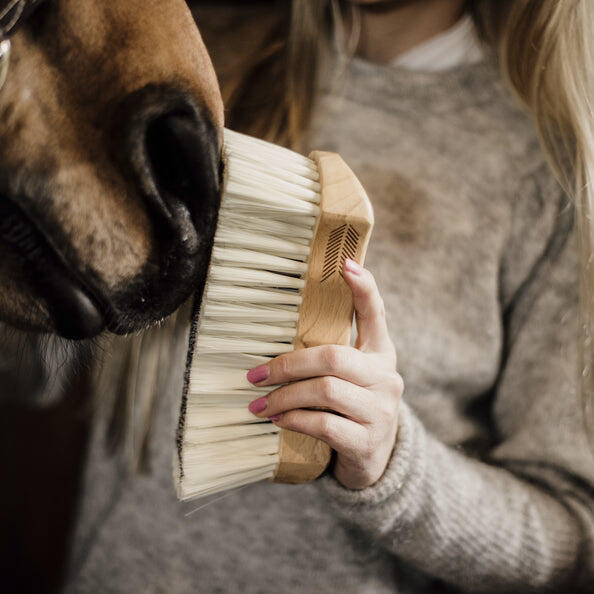 GROOMING DELUXE picture