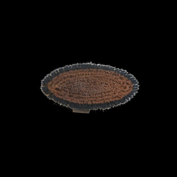 Brosse douce à poils durs - Kentucky 5/7