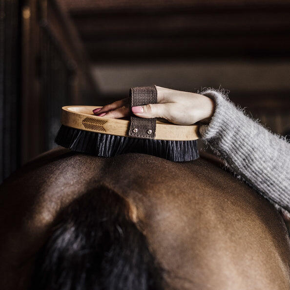 Brosse douce à poils durs - Kentucky 2/7