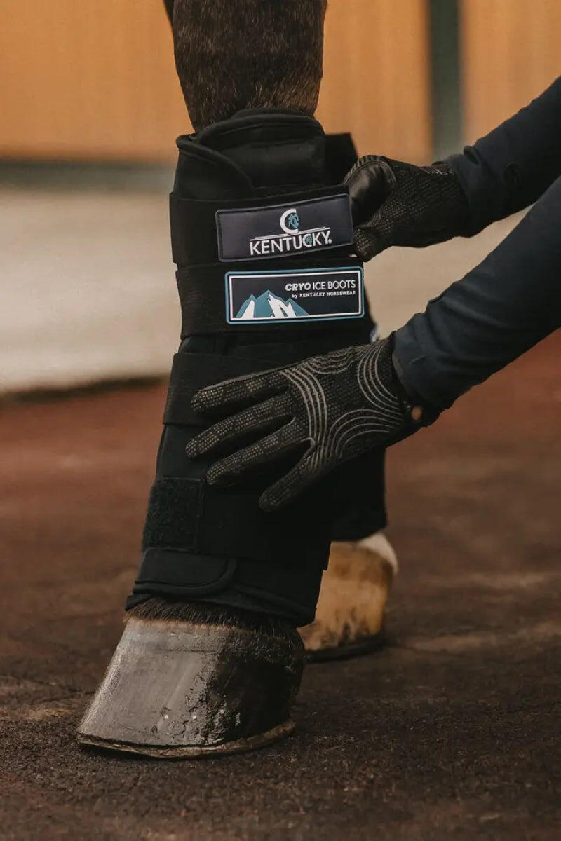 KENTUCKY HORSEWEAR Kentucky Cryo Ice Boots