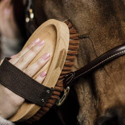 Brosse douce à poils durs - Kentucky