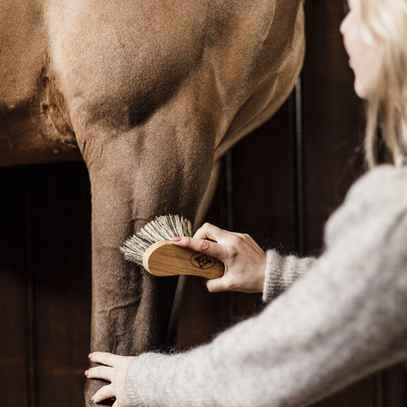 Grooming Deluxe - Bouchon Dur - Kentucky - Etrille - Marron - Taille Unique - Decathlon