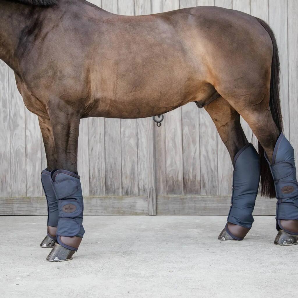 Gaiters for transport horses Kentucky