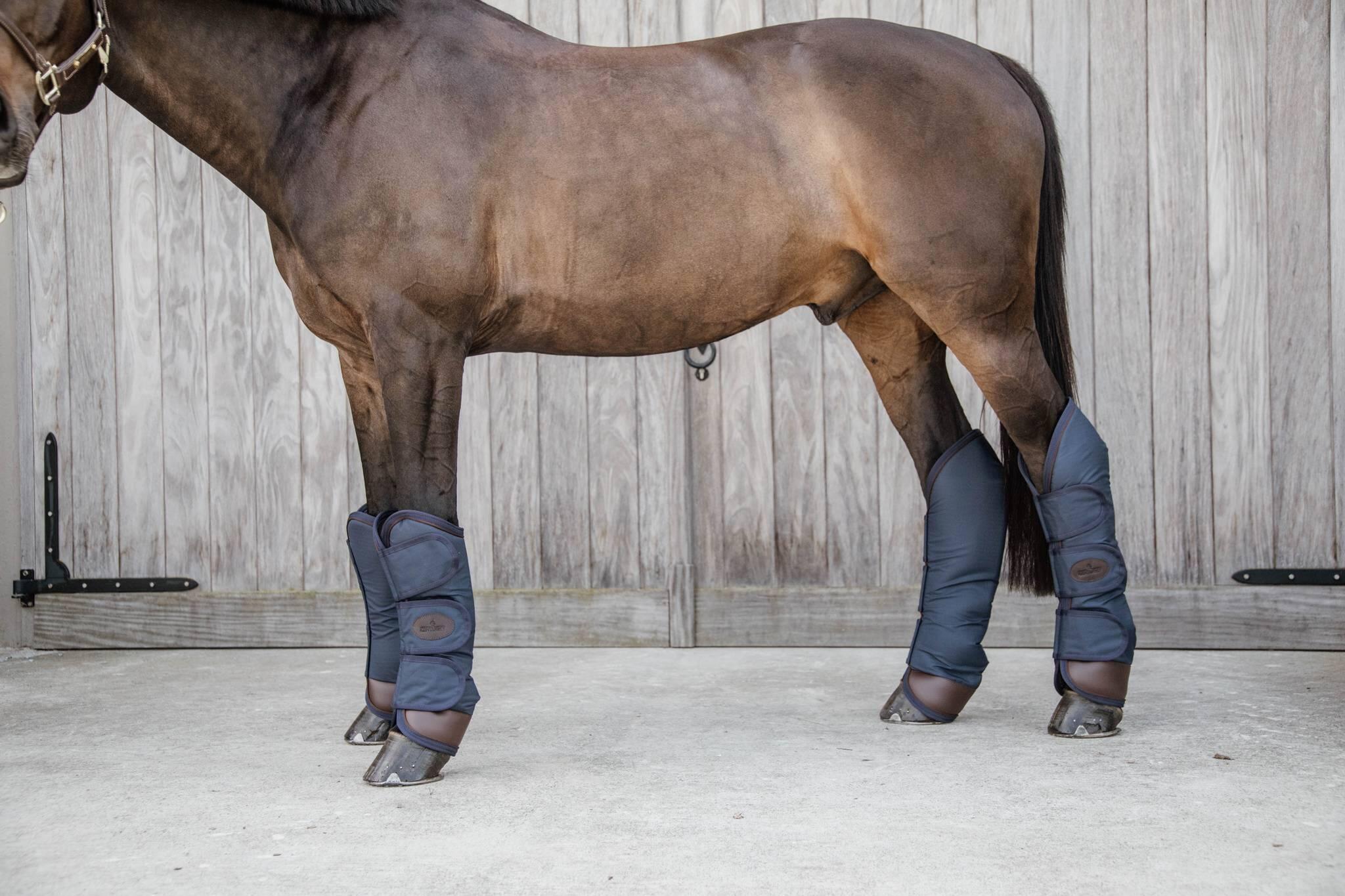 KENTUCKY HORSEWEAR picture