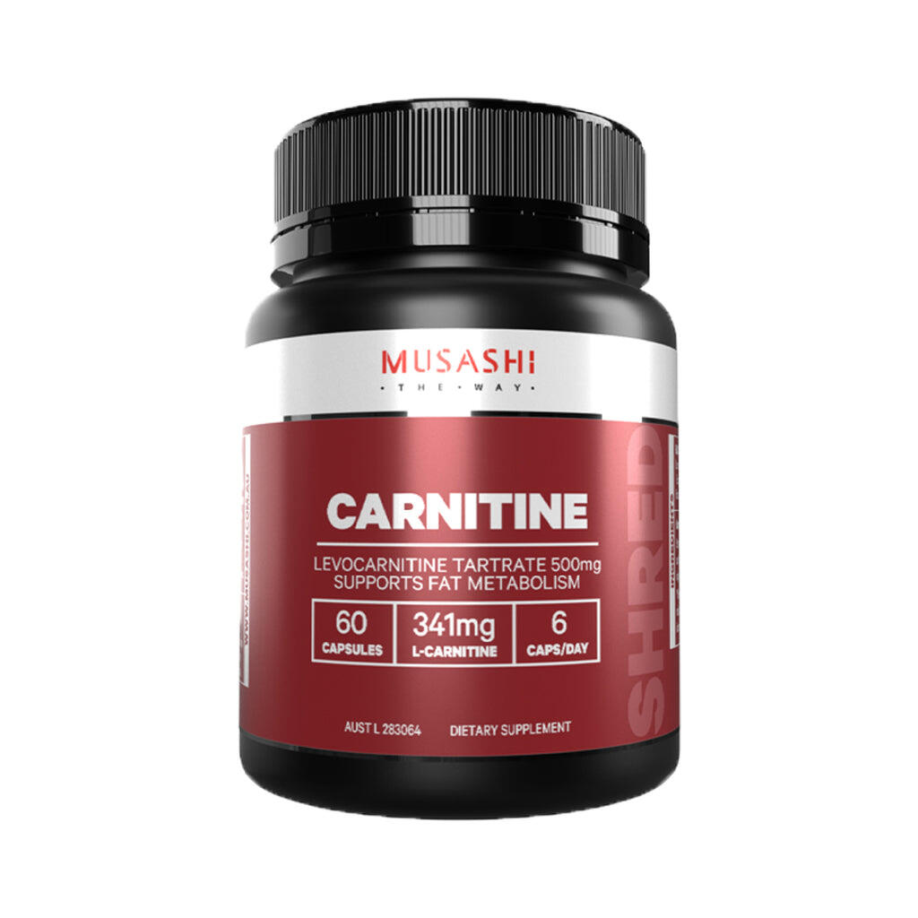 L-CARNITINE 180錠×28個 Maximum L-Carnitine / Alfa Vitamins – Alfa Vitamins Store